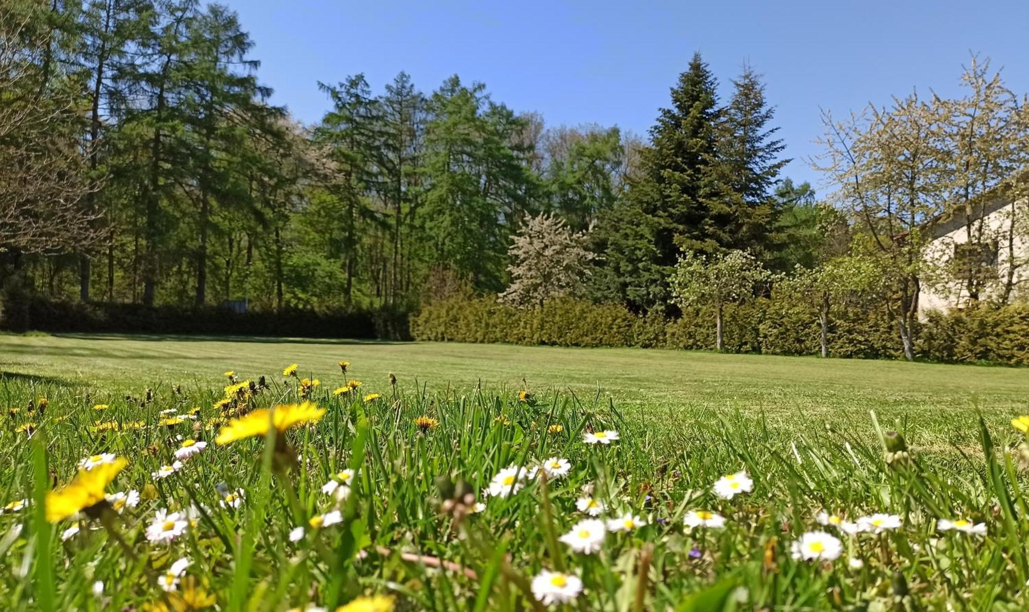 Pokoje Goscinne Stokrotka Naleczow Exterior foto