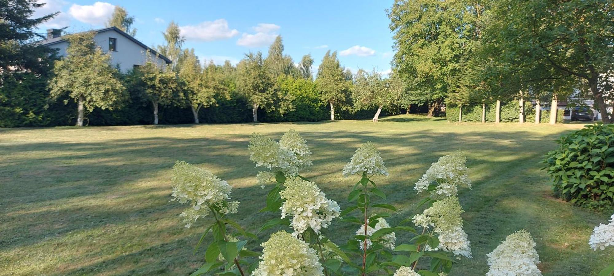 Pokoje Goscinne Stokrotka Naleczow Exterior foto